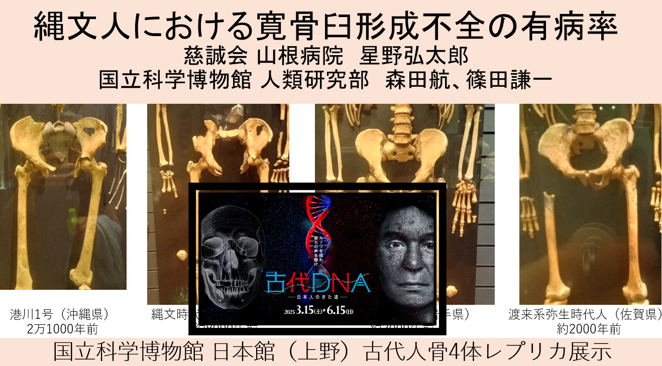 星野弘太郎業績一覧