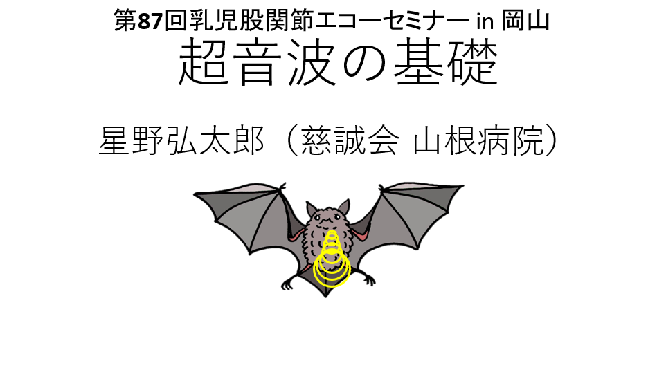 第87回乳児股関節エコーセミナー「超音波の基礎」2024/1/27講演(岡山県)→スライドは見れません